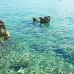 The Sea View * 诺维·维诺多尔斯基